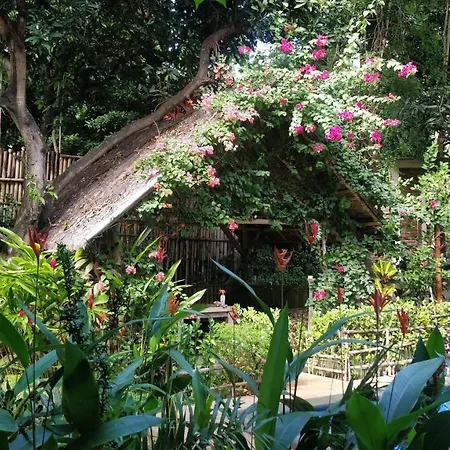 Villa Kong Amed Extérieur photo