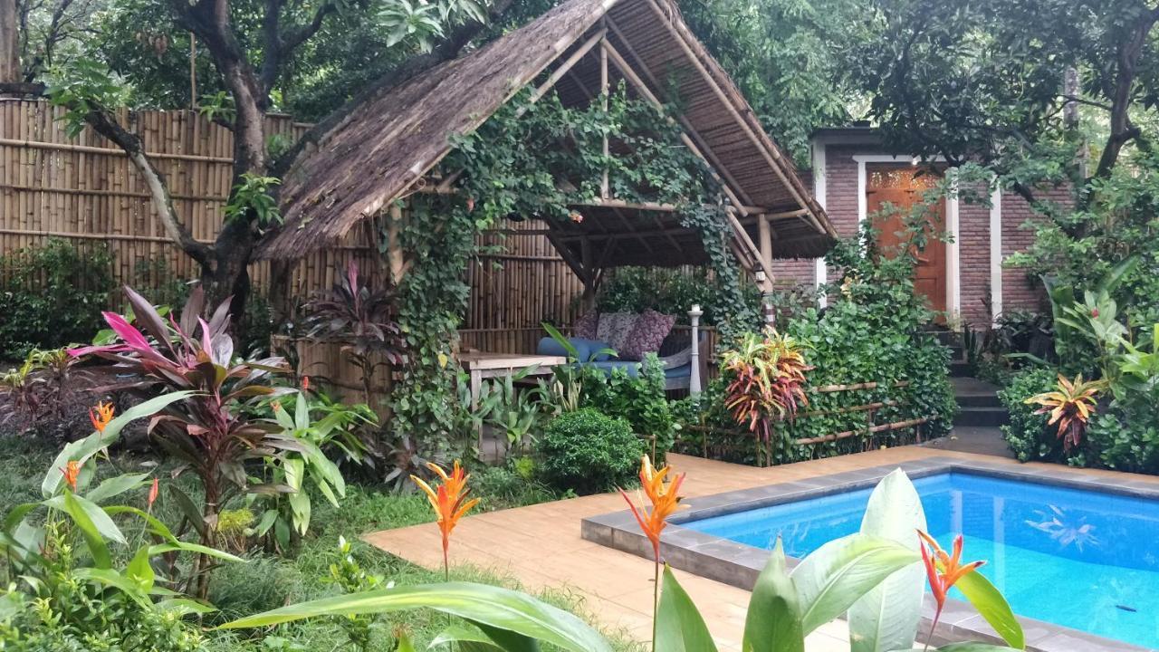 Kong Amed (Bali)