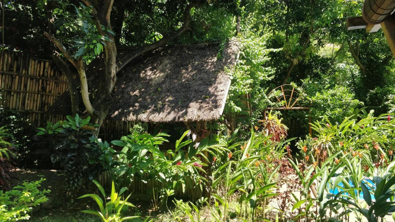 Kong * Amed (Bali)