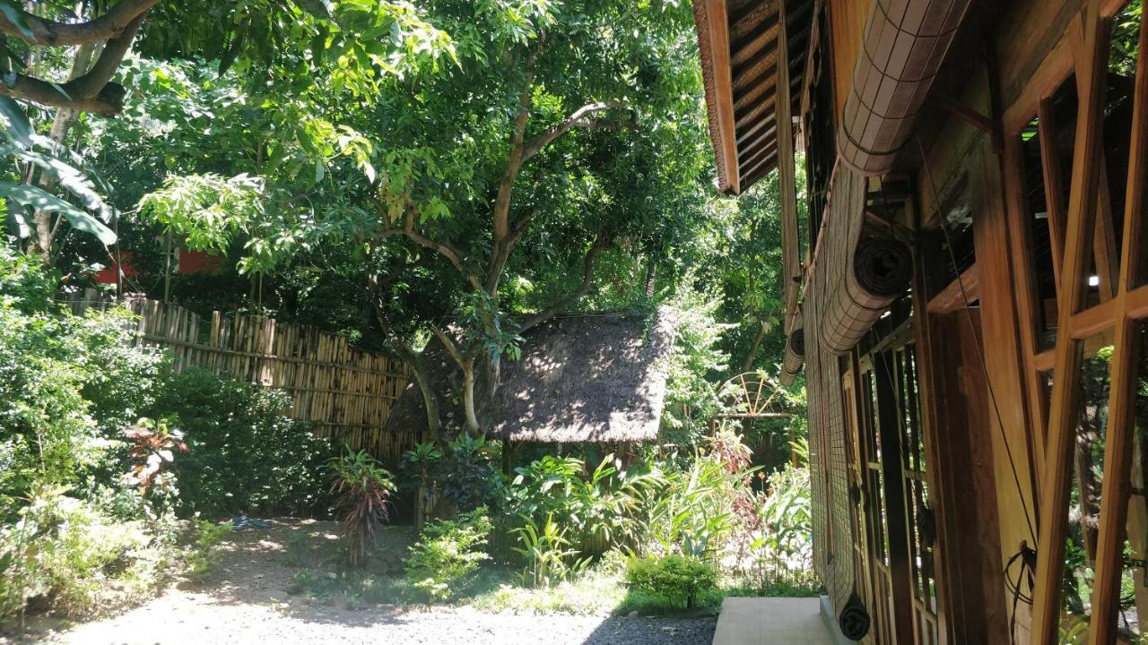 Kong * Amed (Bali)