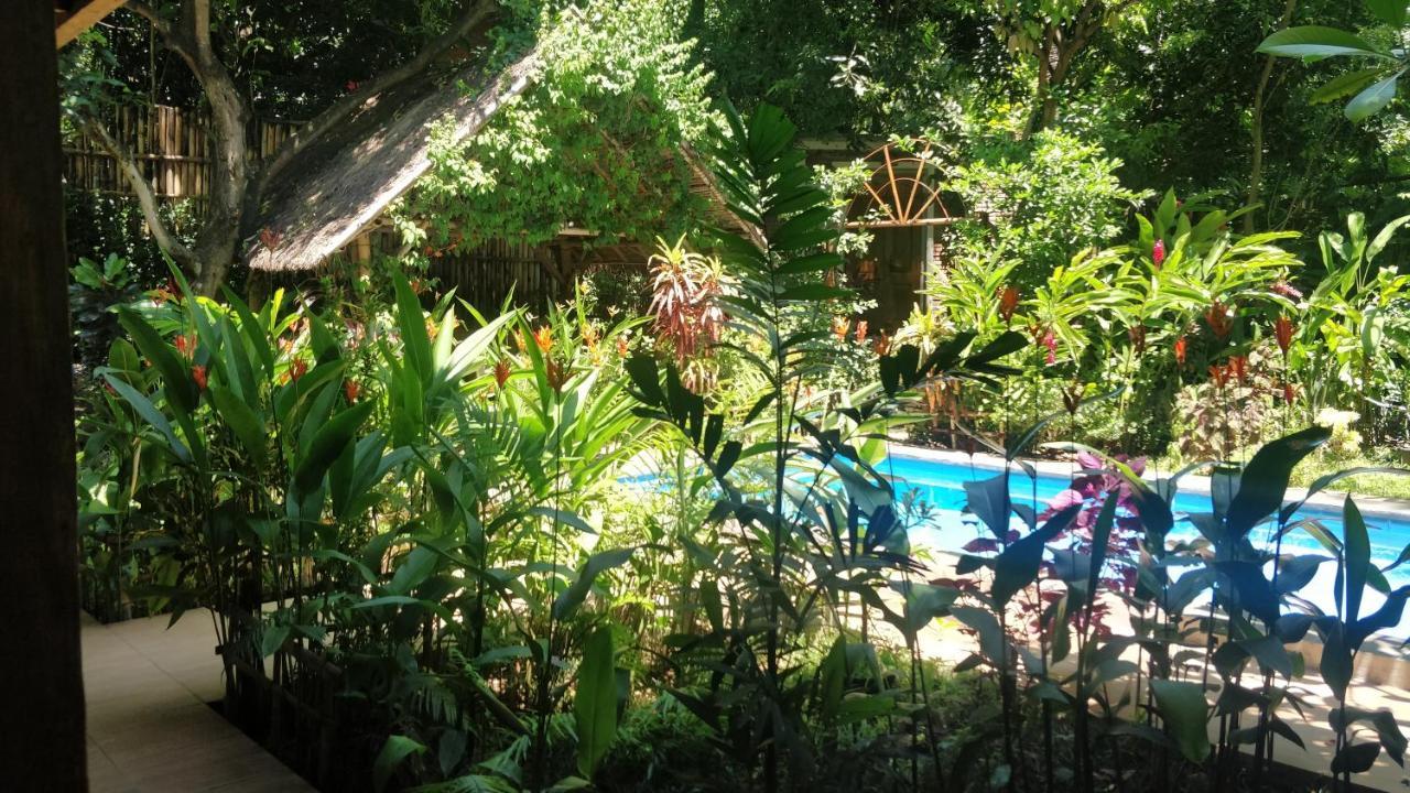 Kong Amed (Bali)