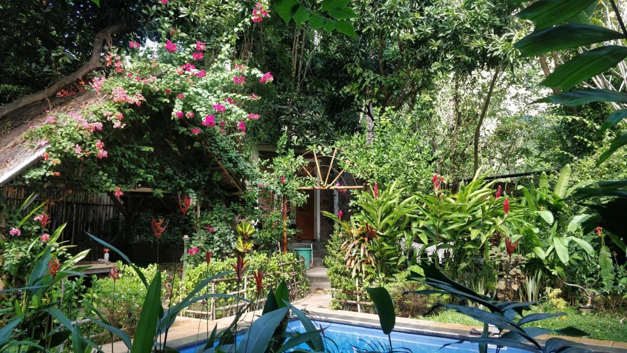 Kong Villa Amed